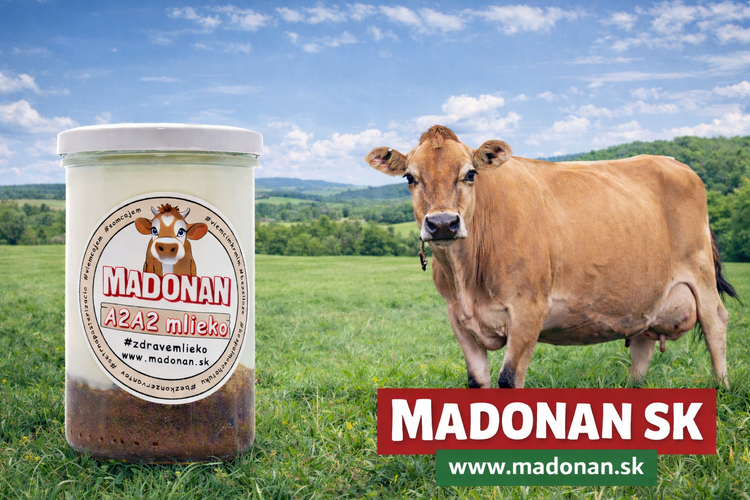 Madonan.sk obrázek
